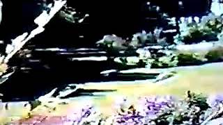 Mackinac Island, Michigan (July 4th, 1986) Part 2.