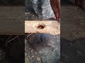 papuan fire rope, the traditional art of starting a fire #firemaking  #survivalfire