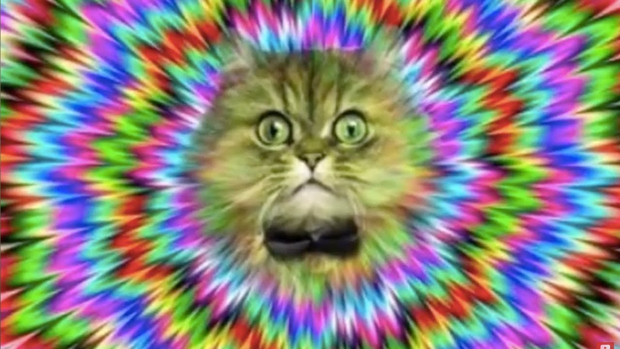 TOP 5 DALŠÍ OPTICKÉ ILUZE, které vám zamotají hlavu