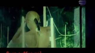 18Kamelia Cherna Krav