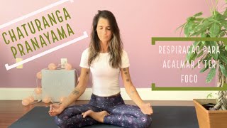 Chaturanga Pranayama - Respiração que acalma e ajuda na concentração 