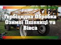 Гербіцидна Обробка Озимої Пшениці та Вівса