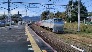 [遅延貨物真鶴駅抑止] 11月27日真鶴駅 吹田A1運用 2066レ EF66 130 入線