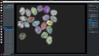 [Napari] Segmentation of cell nuclei with nnInteractive