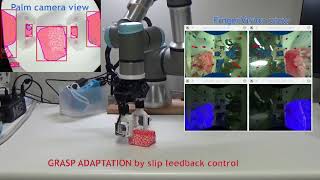 Assistive Utilities with FingerVision for Learning Manipulation of Fragile Objects
