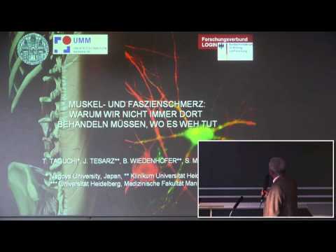 1/2: Prof. Siegfried