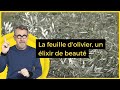 La feuille d&#39;olivier, un élixir de beauté - C Jamy