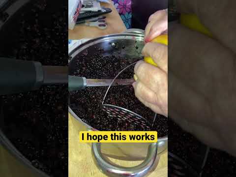 Elderberry wine, home