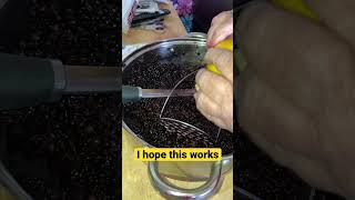 Elderberry wine, home brew