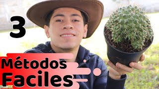 COMO ACELERAR EL CRECIMIENTO DE TUS CACTUS || HUERTO CITADINO