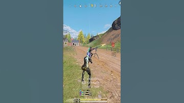 The Desperado Shocker😎😂