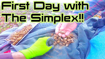 Nokta Simplex first day 100 relics!!