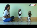Obedient Animal | Adorable Monkey Kako Playing Football With Mom