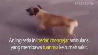 Downloadpersahabatan MP3 MP4 persahabatan