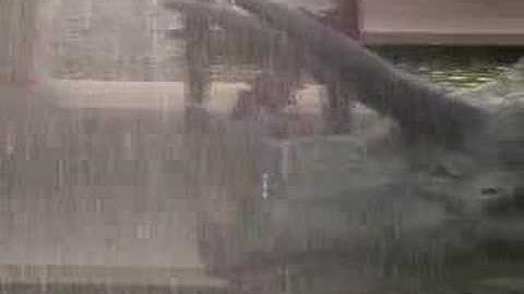 theU.com - U. of Washington: "The Setting"