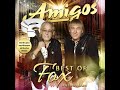 Amigos - Best Of Fox - Das Tanzalbum (II)