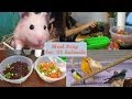 21 Animal Meal Prep Routine | Making Chop