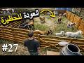 Ranch Simulator🫡محاكي المزرعة العودة للحظيرة وتجميع الموارد