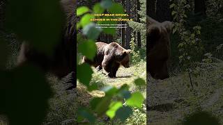 A bear’s deep growl shakes the quiet jungle. 🐻🌿#bear #wildlife #jungle #nature #animal