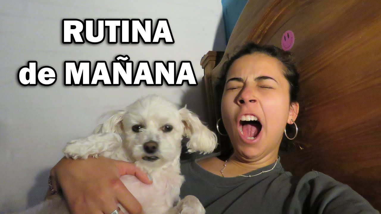 Youtube Video Statistics For Mi Rutina De Manana En Cuarentena Evelyn Rangel Noxinfluencer - mi rutina de mañana en adopt me la escuela de roblox