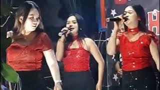 PASDUT || TRIO CENTIL CAHERA #caheramusiktakalar #dangdut #viral