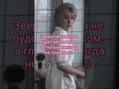 Зверь никогда не будет человеком, а глупый никогда не поумнеет! #shorts #кино #фильм #нашекино #film