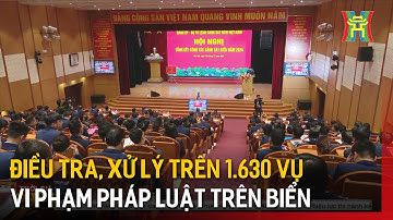 Điều tra, xử lý trên 1.630 vụ vi phạm pháp luật trên biển | Tin tức
