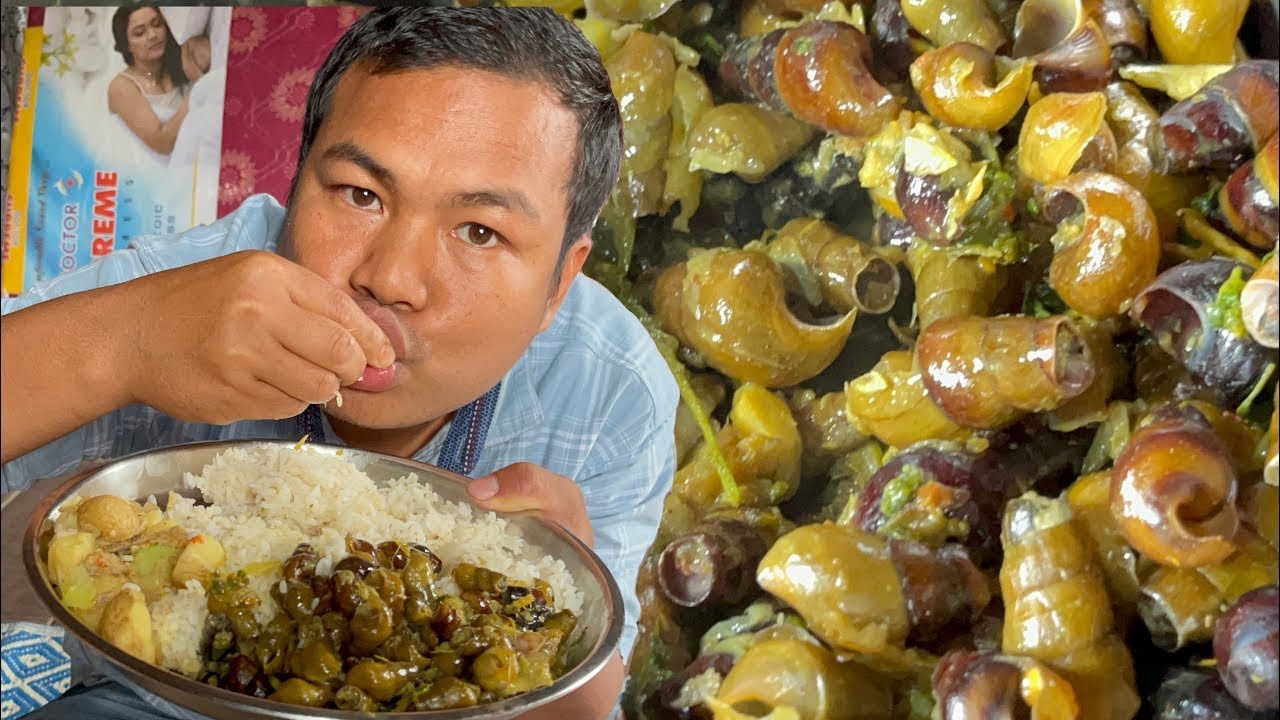 Collecting and Eating Delicious Spicy Snail with King Chilli 🌶️ 