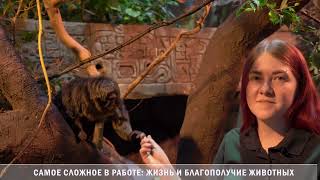 160 лет большой зоологической мечте by Московский Зоопарк 3,010 views 2 months ago 7 minutes, 13 seconds