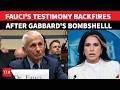 ‘VACCINE NOT EFFECTIVE’: Fauci’s COVID Remark Lands Him In Trouble After Gabbard’s BOMBSHELL Drop