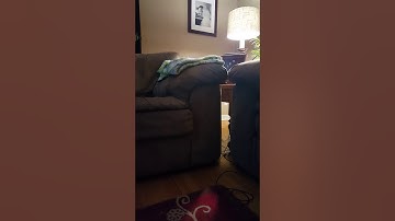 Test Pattern effector 13 sort of demo