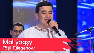 Tashli Tulegenow - Mal yagshy | 2023 Resimi