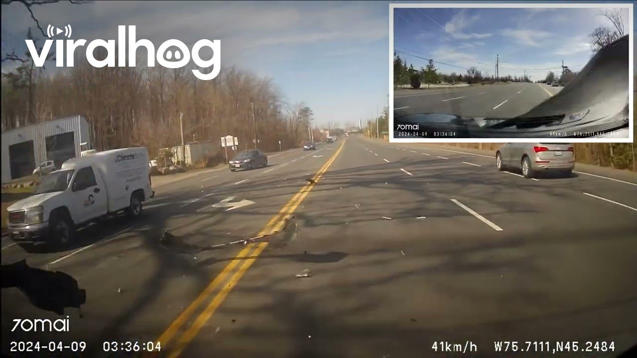 Rear End Collision Captured on Dashcam || ViralHog - YouTube