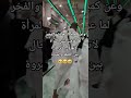 لماذا المرأة لاتهرول بين الصفا والمروة مكة المكرمة اللهم أرزقنا العودة