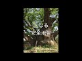 内なる安全地帯