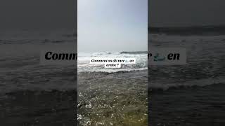 🌊 Tu sais comment on dit “mer” en arabe littéraire ? 🇲🇦 Apprends l’arabe étape par étape #Shorts