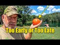 When Should You Pick Tomatoes