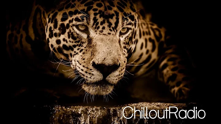 Dillon - Thirteen Thirtyfive (Jonas Woehl Remix)/ChilloutRadio