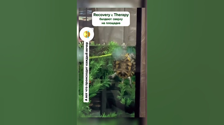 Моя Functionalя показывает, что она умеет делать. #tortoise #животные #turtle