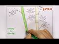 How to Draw Bamboo with leaves Step by Step for Beginners | Bamboo plant drawing with crayons