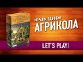 Играем в настольную игру «АГРИКОЛА». ФЕРМА прямо на СТОЛЕ! // Let's play AGRICOLA board game