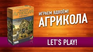 Играем в настольную игру «АГРИКОЛА». ФЕРМА прямо на СТОЛЕ! // Let's play AGRICOLA board game