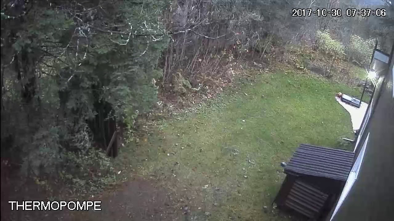 Tree falls on house - YouTube