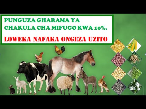 Video: Jinsi Ya Kuanza Vyakula Vya Ziada Na Nafaka