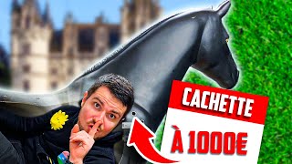 CACHE CACHE EXTRÊME (1000€ pour se cacher)(je suis dans un cheval)