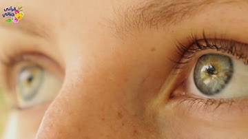 تلاوة ممتعة ومميزة لسورة البلد بصوت الشيخ ياسر سلامة