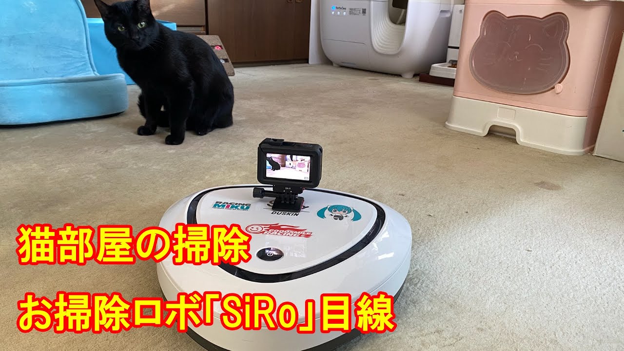 猫部屋の掃除 (お掃除ロボ目線) #ねこのいる生活 #お掃除ロボット #SiRo #djiosmoaction5pro