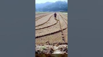 The process of planting vegetables and making holes is a good method worth sharing.