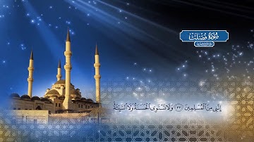 سورة فصلت |  بصوت الشيخ أحمد محمد الطاهر