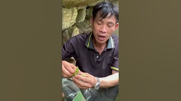 Bữa cơm trên rừng #sinhton #sanbat #thinhhanh #sinhtonnoihoangda #nauan